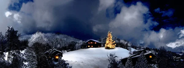 Wil Alle Panters Hun Families Een Vrolijk Kerstfeest Wensen Voor — Stockfoto