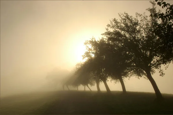 Schöne Aussicht Auf Die Natur — Stockfoto