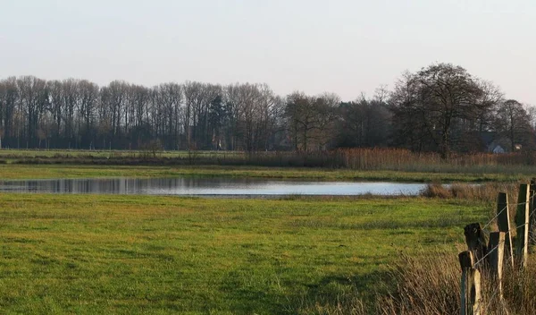 Een Biotoop Biotoop — Stockfoto