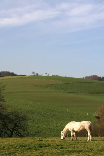 Schöne Aussicht Auf Die Natur — Stockfoto