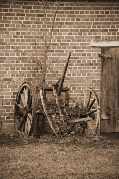 Деревянный Кулон Сепия — стоковое фото