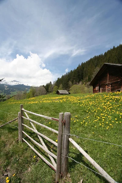 Malerischer Blick Auf Die Schöne Alpenlandschaft — Stockfoto