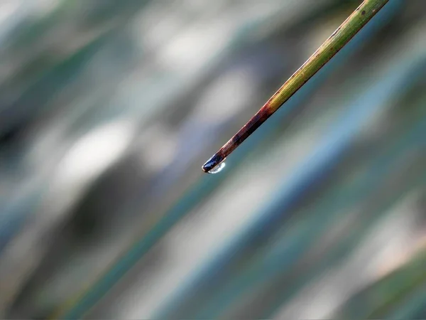 Abstract Waterdrop Colorful Background — Stock Photo, Image