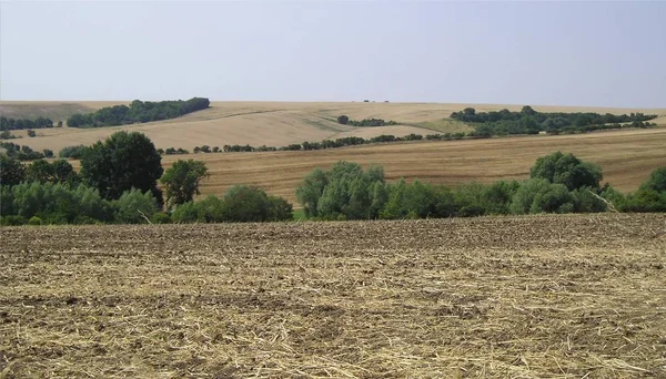 Egy Mező Táj Közelében Zappendorf Szász Anhalt — Stock Fotó