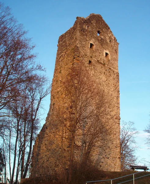 Burgruine Starhemberg Castello Della Bassa Austria — Foto Stock