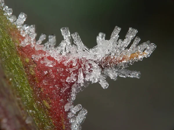 Uitzicht Een Winterse Scène — Stockfoto