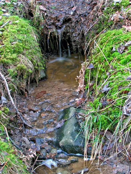 Krásný Výhled Krajinu Přírody — Stock fotografie