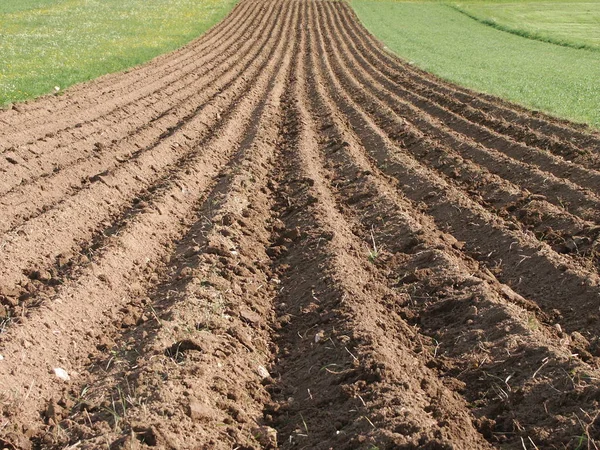 Indústrias Agrícolas Alimentares — Fotografia de Stock