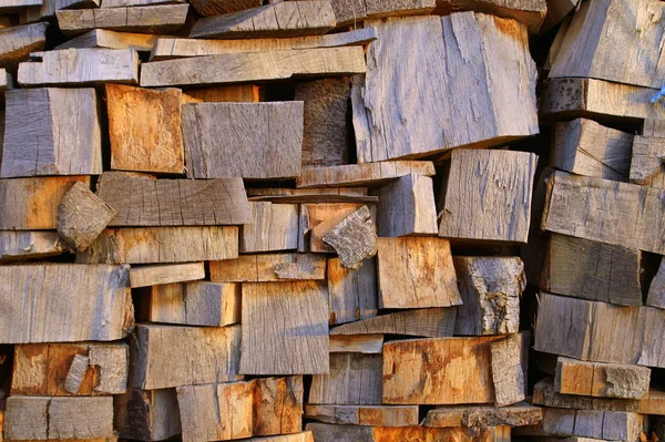 Wooden Texture Woodpile — Stock Photo, Image