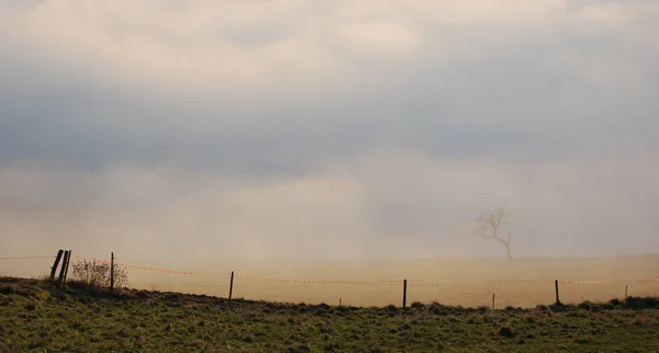 Prachtig Uitzicht Het Platteland — Stockfoto