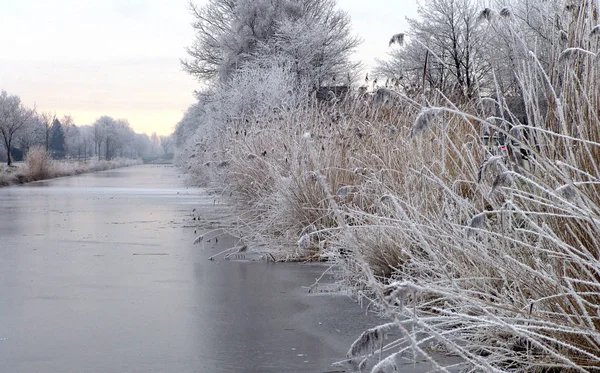 Blick Auf Eine Winterszene — Stockfoto