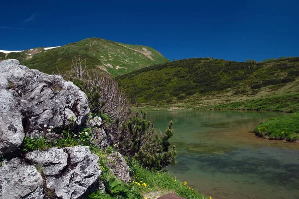 Schlappholdsee Fellhorn — Stockfoto