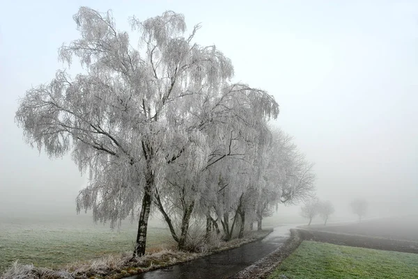 Una Mañana Invierno Eifel —  Fotos de Stock