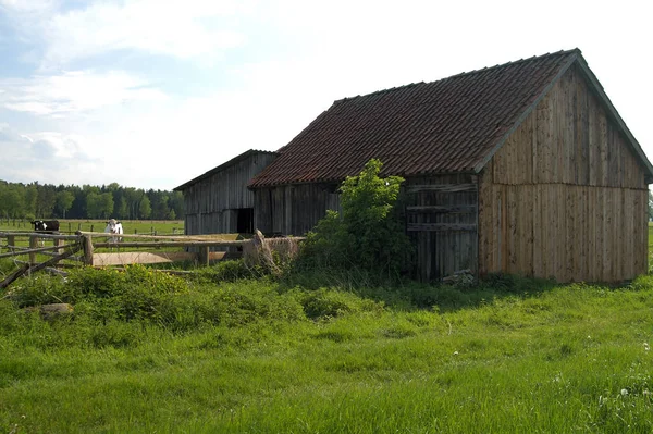 Olika Arkitektur Selektivt Fokus — Stockfoto