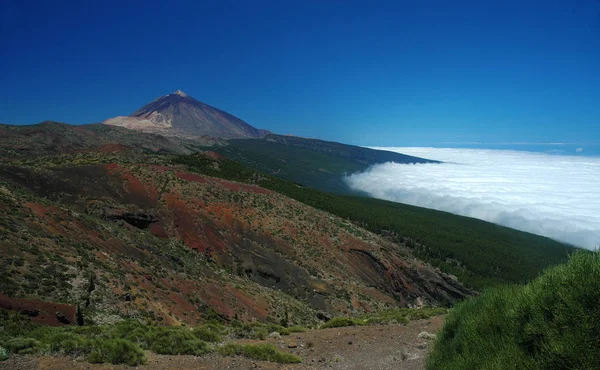 Pode Ser Tão Bonito Feriado — Fotografia de Stock