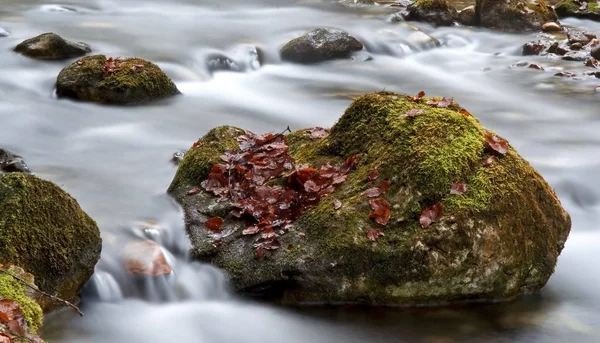 Prachtig Uitzicht Natuur Scene — Stockfoto