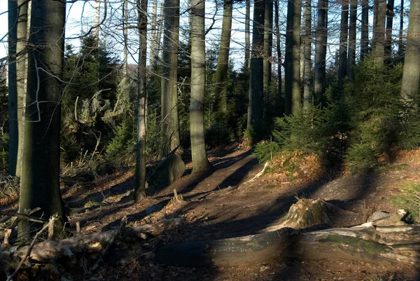 Les Temps Rapides Ridgemont Élevé — Photo