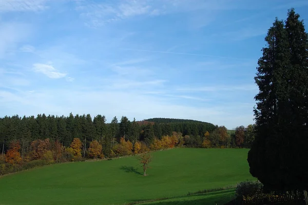 Schöne Bunte Herbstblätter — Stockfoto