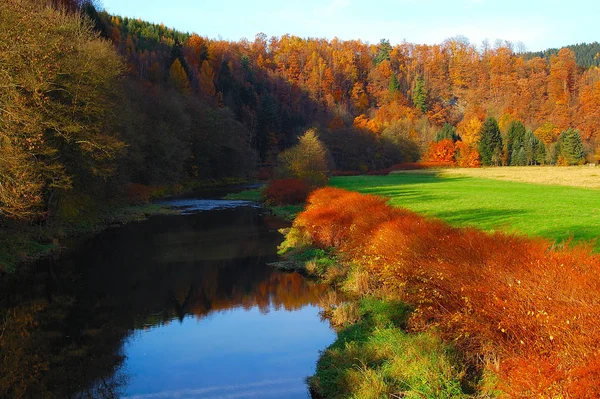 Hermoso Follaje Colorido Otoño —  Fotos de Stock