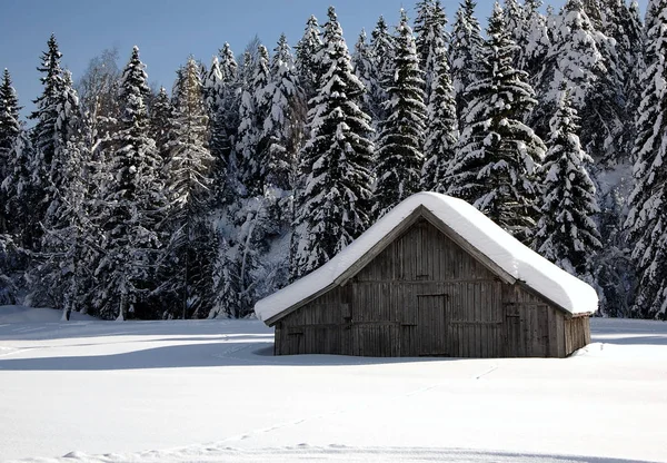 Jetzt Hier Schnee — Stockfoto