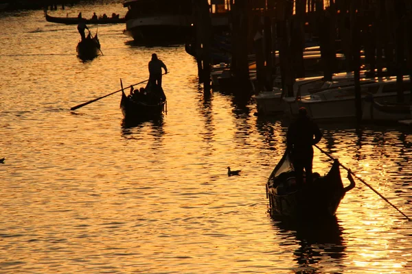 Gondolas Venice Sunset — Stock Photo, Image