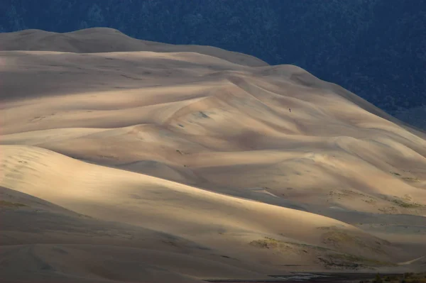 Die Großen Sanddünen Deutsche Große Sanddünen Sind Ein Nationalpark Nationalpark — Stockfoto