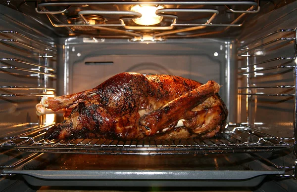 Primer Ganso Con Nuevo Horno Jefe Única Razón Por Que — Foto de Stock