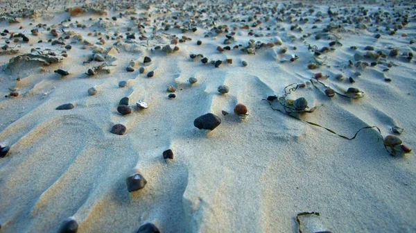 Pedras Seixos Rochas Praia — Fotografia de Stock