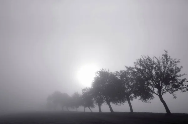 Schöne Aussicht Auf Die Natur — Stockfoto