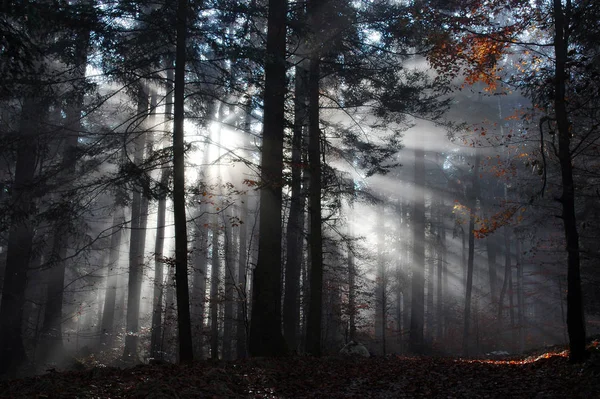 Schöne Aussicht Auf Die Natur — Stockfoto