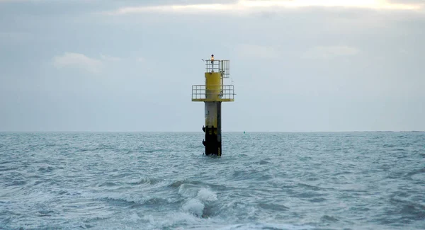 Marine Thema Tapete Tageslicht Aufnahme — Stockfoto