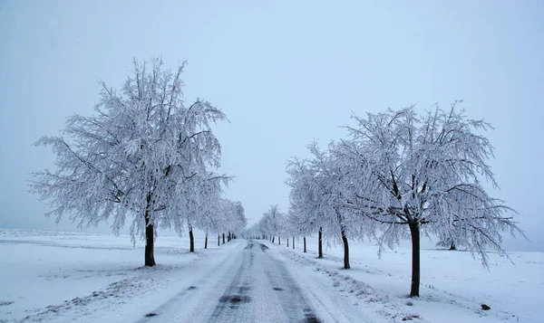 Bella Vista Del Paesaggio Invernale — Foto Stock