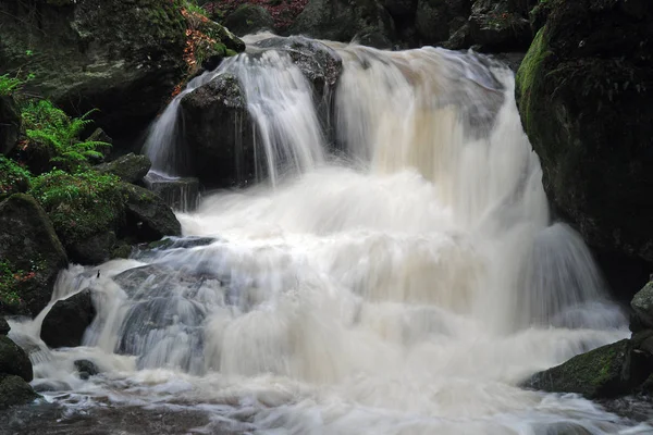 Cascada Naturaleza Flujo Agua — Foto de Stock