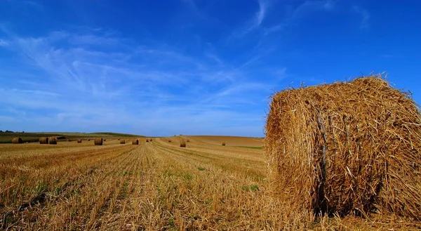 Landleven Selectieve Focus — Stockfoto