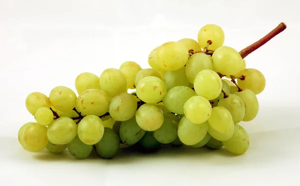 Uvas Suculentas Bagas Frutas Alimentos — Fotografia de Stock