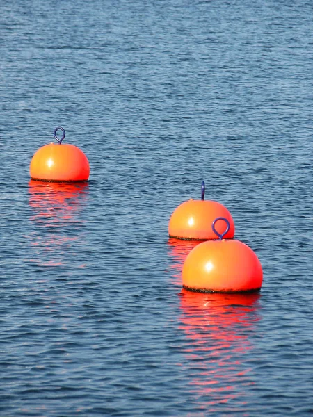 Marine Scene Outdoor Shot — Stock Photo, Image