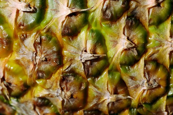 Abacaxi Fresco Planta Fruto — Fotografia de Stock