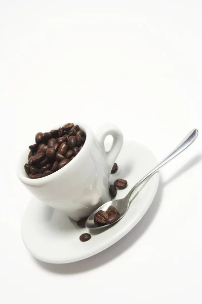 Kávébab Háttérben Közelről — Stock Fotó