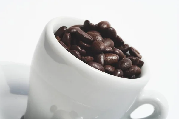 Kaffebönor Bakgrund Närbild — Stockfoto