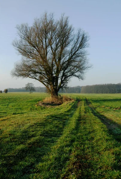 Picturesque View Countryside Scenery Stock Picture