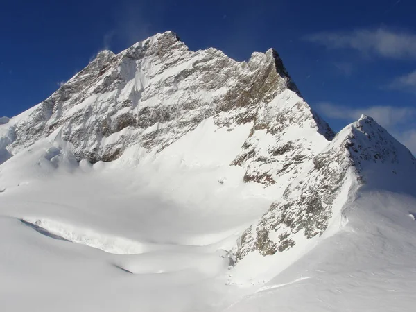 Belle Vue Sur Paysage Hivernal — Photo