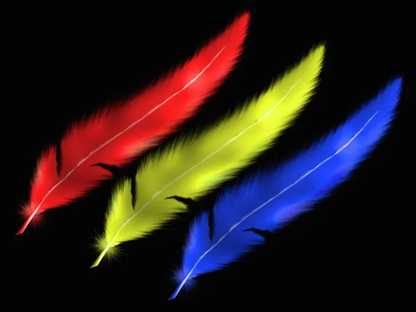 カラフルな鳥の羽と色のベクトルセット — ストック写真