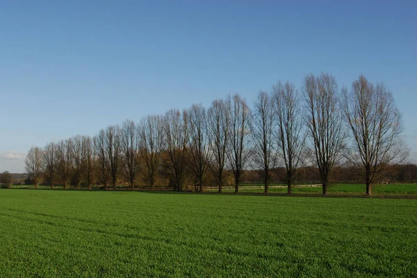 Schöne Aussicht Auf Den Ländlichen Raum — Stockfoto