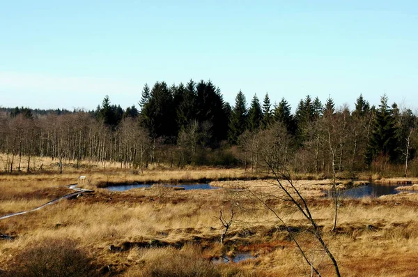 Bella Vista Sulla Natura — Foto Stock