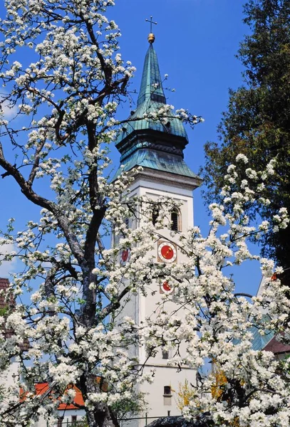Kościół Rotenbuch Kloster Wiosną — Zdjęcie stockowe