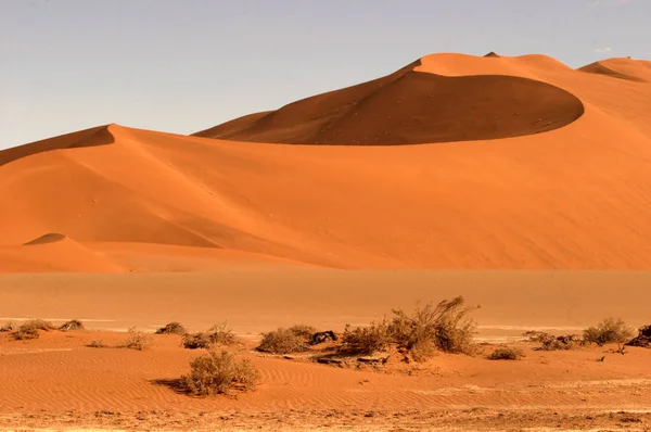 Panoramisch Uitzicht Duinen Selectieve Focus — Stockfoto