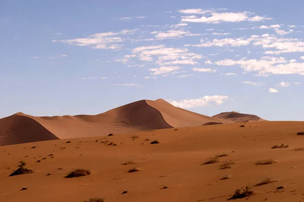 沙质沙漠中的炎热夏天 沙丘景观 — 图库照片