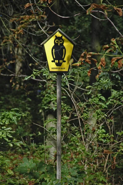 Sinal Trânsito Parque — Fotografia de Stock