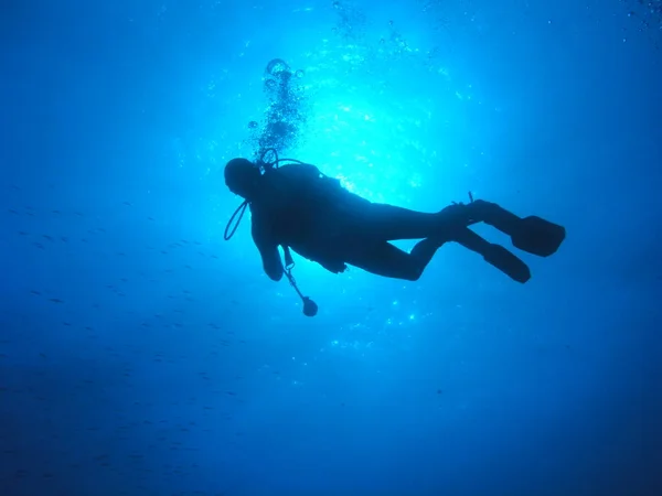 Fondo Pantalla Tema Marino Tiro Bajo Agua — Foto de Stock