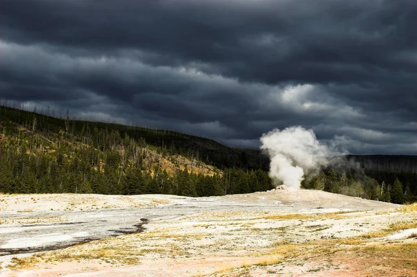 옐로스톤 Yellowstone National Park 미국의 공원이다 그래서 세계에서 공원입니다 — 스톡 사진